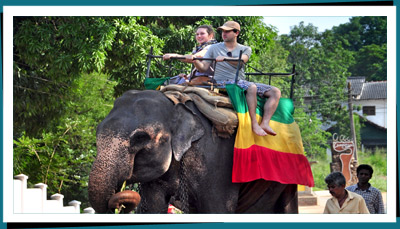 Elephant riding Srilanka